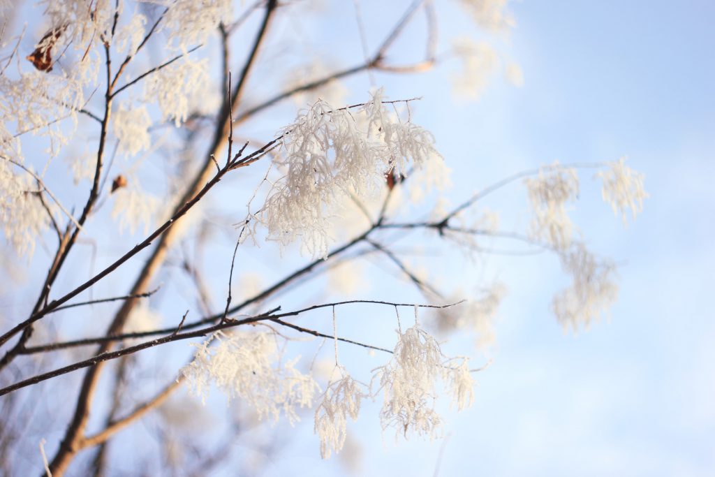 Adlington Memorial Park